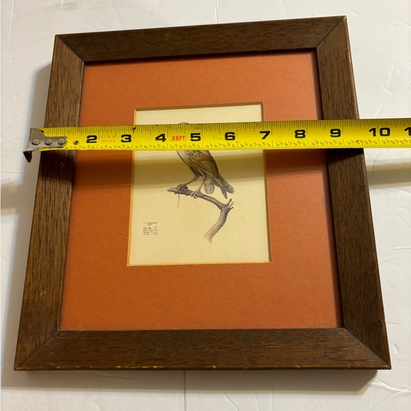 J. F. LANSDOWNE Matted and Framed Print Tyto alba Barn Owl 1967 - Picture 6 of 11